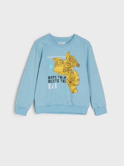 Sinsay Boy's Blue Sweatshirt ANFK1010