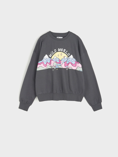 Gray sweatshirt with a colorful graphic design on a light gray background