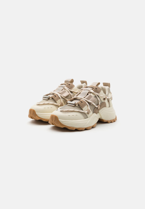 Steve Madden Women's Bone Tazamina Sneakers  | Steve Madden  in Lebanon