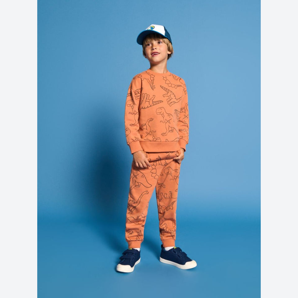 Sinsay Boy's Orange Dinosaur Print Sweatpants
