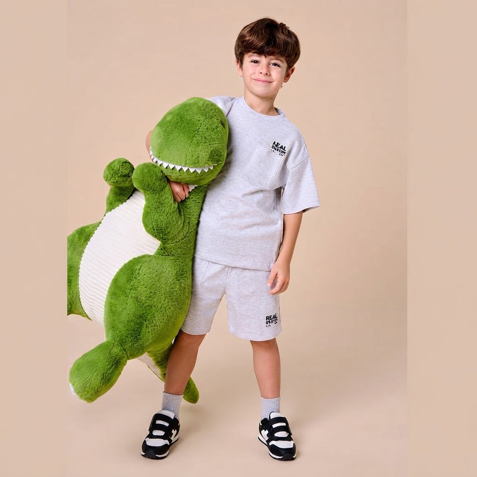 Sinsay Boy's Light Grey Short Sleeve Short Set