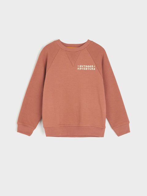 Sinsay Boy's Brick  Sweatshirt | Sinsay In Lebanon
