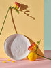 Sinsay White Motif Easter Plate | Sinsay In Lebanon