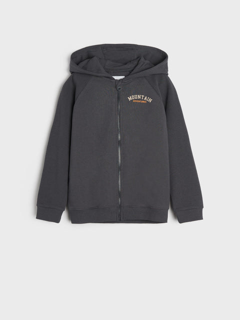 Dark gray hoodie with a logo on the chest against a light gray background