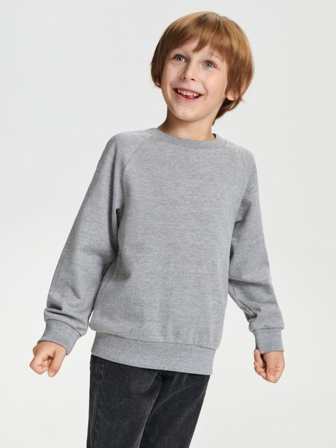 Sinsay Baby Boy's Gray & Black Set Of 2 Sweatshirts | Sinsay In Lebanon