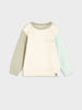 Long-sleeve shirt with gradient sleeves on a light gray background