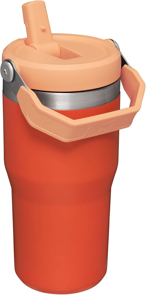 Stanley IceFlow Stainless Steel Tumbler with Straw | Stanley In Lebanon