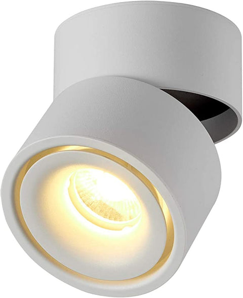 Dr.lazy 10 W LED Surface-Mounted Ceiling Light, Ceiling Spotlights, Wall Lights, Ceiling Floodlight, Ceiling Light, Aluminium (White/Warm White) AM121