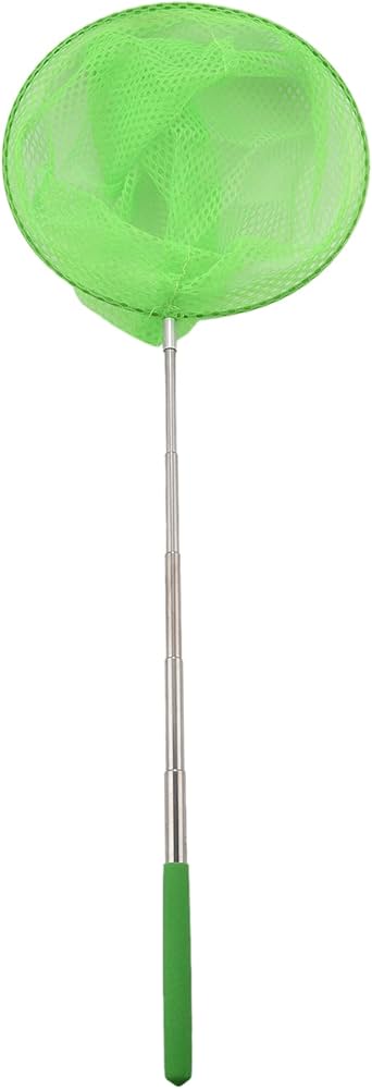 Wresetly Telescopic Extendable Butterfly Insect and Fish Catching Net | Wresetly in Lebanon
