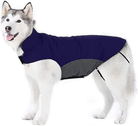 Bwiv Winter Coat for Large Dogs) AM167 X001331ILB1