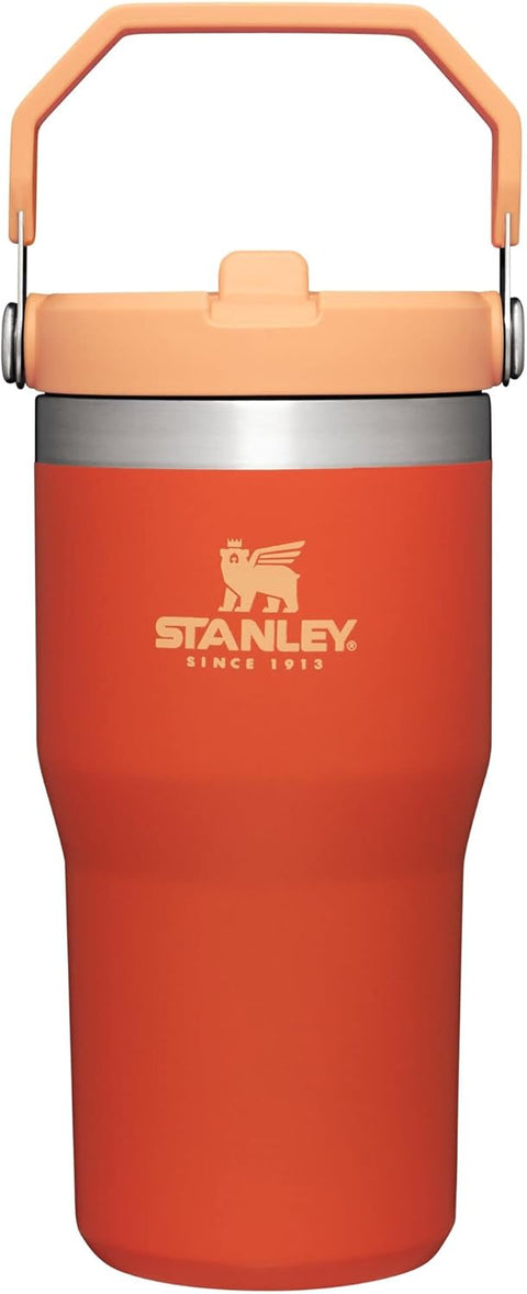 Stanley IceFlow Stainless Steel Tumbler with Straw | Stanley In Lebanon