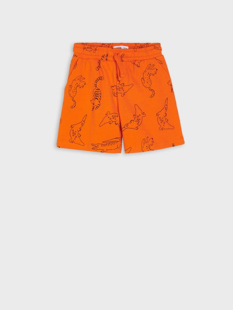 Sinsay Boy's Orange & Gray Set Of 2 Shorts | Sinsay In Lebanon