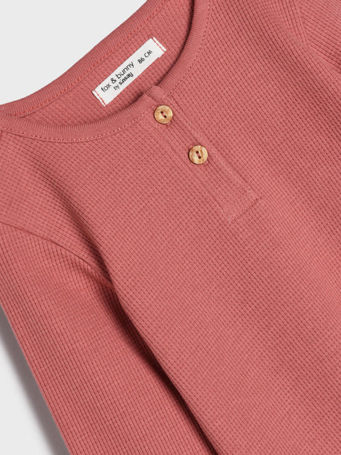 Sinsay Fox & Bunny Baby Girl's Coral Pant Set | Sinsay In Lebanon