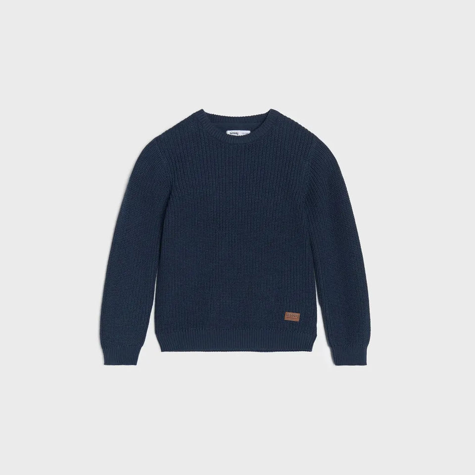 Sinsay Boy's Navy Crew Neck knitted Sweater