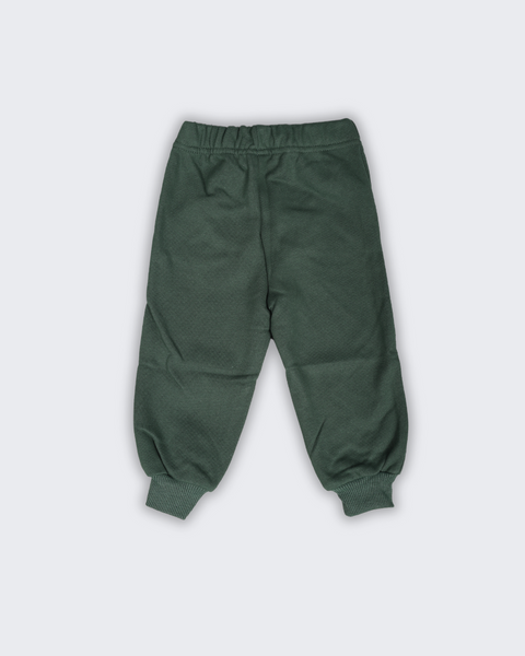 Ativo Boy's Green Sweatpant  ND-7338(fl152)