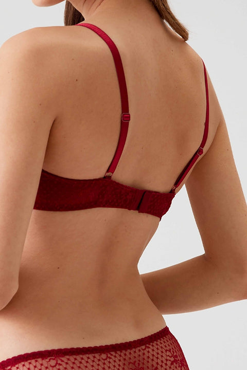 Pierre Cardin Women's Burgundy Underwear Supported Bra Set 4031(yz21)shr