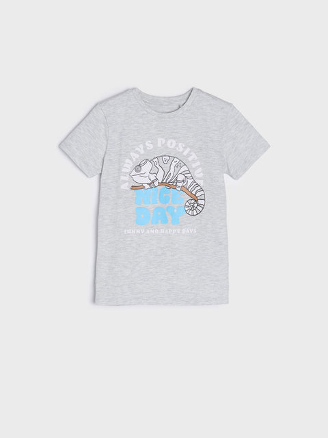Sinsay Boy's Grey Short-Sleeve T-Shirt | Sinsay In Lebanon