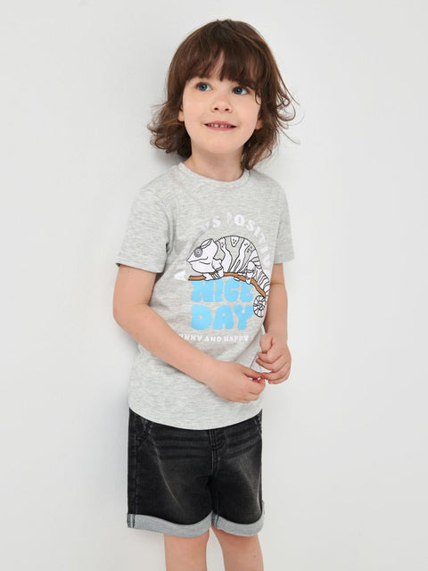 Sinsay Boy's Grey Short-Sleeve T-Shirt | Sinsay In Lebanon