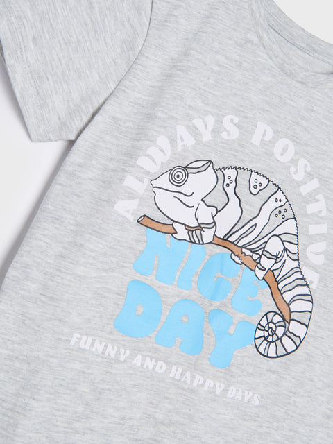 Sinsay Boy's Grey Short-Sleeve T-Shirt | Sinsay In Lebanon