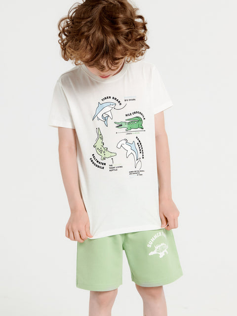 Sinsay Boy's Off White T-Shirt With Animal Print | Sinsay In Lebanon