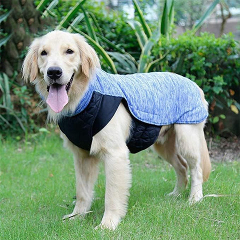 NACOCO Dog Winter Coat Pet Warm Reversible Jacket Waterproof Reversible Clothes X0013DHTT1 AM268