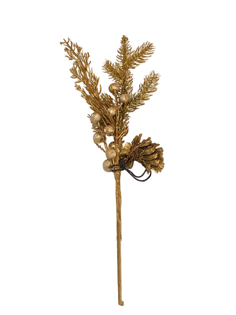 Sinsay Gold Ornamental Plant | Sinsay In Lebanon