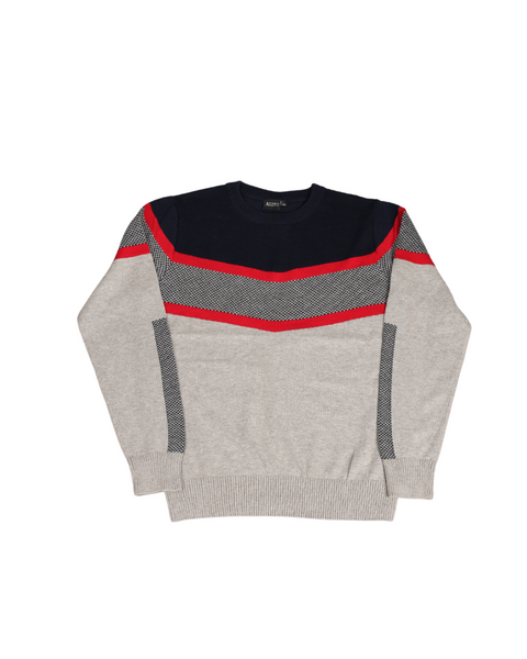 Ativo Boy's Grey  Sweatshirt FW20BJ075
