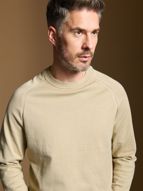 Sinsay Men's Tan Round Neck Raglan Sleeve Sweatshirt|Sinsay In Lebanon