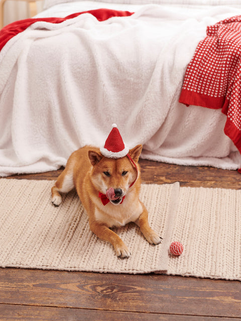 Sinsay Red Christmas Dog Costume | Sinsay In Lebanon