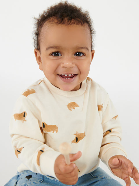 Sinsay Baby Boy's Beige Pack of 2 Sweatshirts | Sinsay In Lebanon