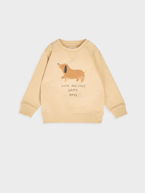Sinsay Baby Boy's Beige Pack of 2 Sweatshirts | Sinsay In Lebanon