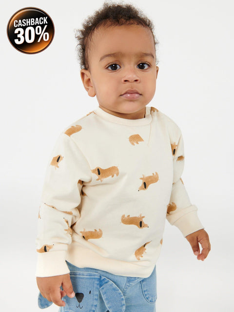 Sinsay Baby Boy's Beige Pack of 2 Sweatshirts | Sinsay In Lebanon
