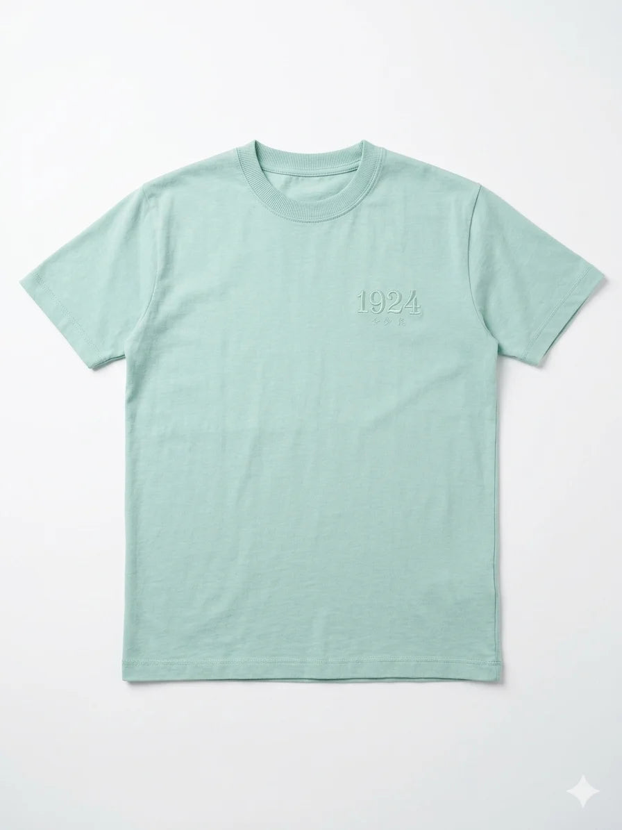Zara Boy's Aqua T-Shirt | Zara In Lebanon