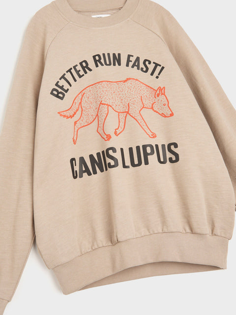 Sinsay Boy's Beige Long Sleeve Printed Sweatshirt | Sinsay In Lebanon