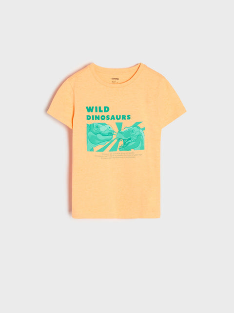Sinsay Boy's Orange & Green 2 Pack T-Shirt | Sinsay In Lebanon