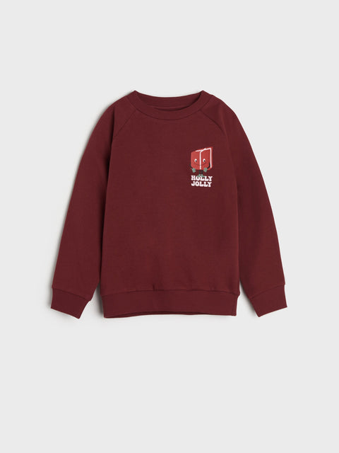 Sinsay Boy's Burgundy Printed Long Sleeve Sweatshirt|Sinsay In Lebanon