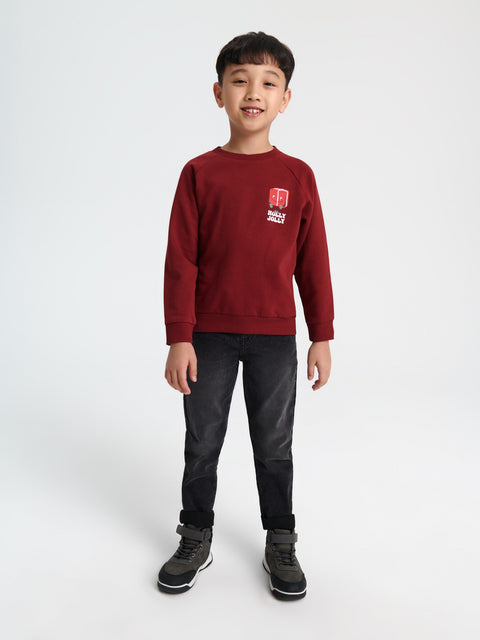 Sinsay Boy's Burgundy Printed Long Sleeve Sweatshirt|Sinsay In Lebanon