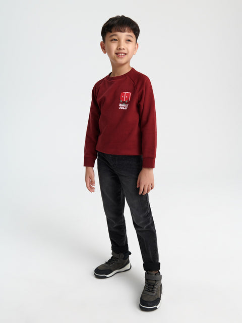 Sinsay Boy's Burgundy Printed Long Sleeve Sweatshirt|Sinsay In Lebanon