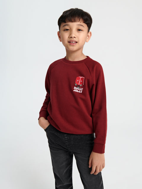 Sinsay Boy's Burgundy Printed Long Sleeve Sweatshirt|Sinsay In Lebanon