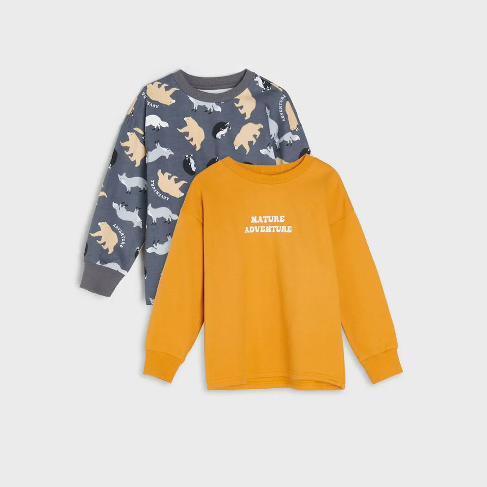 Sinsay Boy's Grey & Orange Printed 2 Pack Sweatshirt