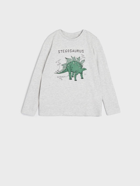 Sinsay Boy's Light Grey Long Sleeve Blouse | Sinsay In Lebanon