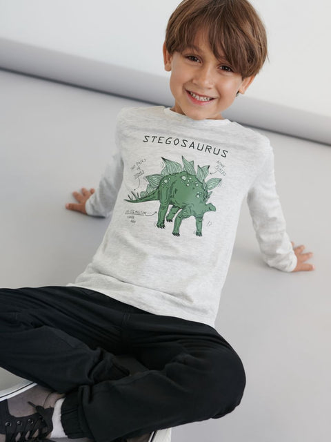 Sinsay Boy's Light Grey Long Sleeve Blouse | Sinsay In Lebanon