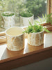 Sinsay Home White & Gold Fern Print Plant Pots 2-Pack | Sinsay in Lebanon