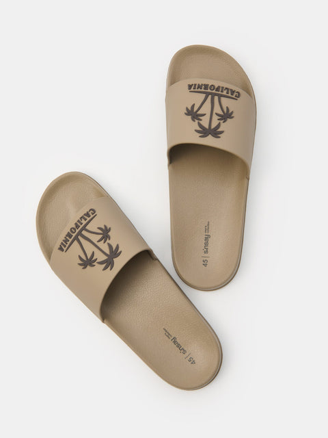 Sinsay Men's Khaki Slippers | Sinsay in Lebanon