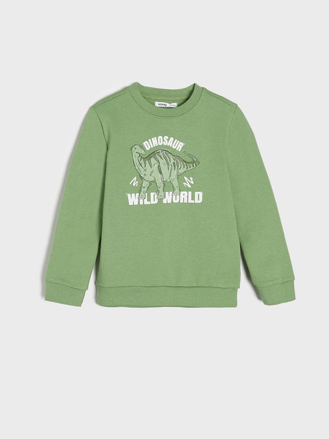 Green sweatshirt with dinosaur graphic and text on a white background