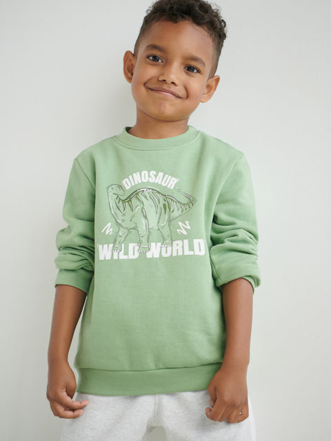 Child wearing a green sweatshirt with a dinosaur graphic and text on a plain background