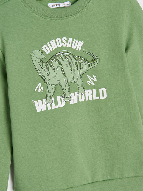 Green sweatshirt with dinosaur graphic and text on a plain background