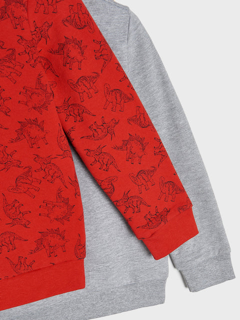 Sinsay Boy's Multi Color 2 Pack Long Sleeve Sweatshirt | Sinsay In Lebanon