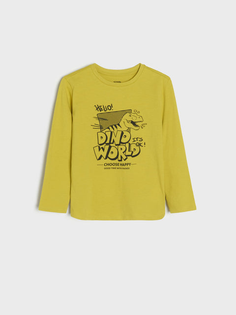 Sinsay Boy's Green Printed long sleeve Blouse  | Sinsay in Lebanon