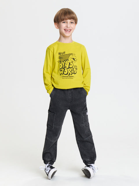 Sinsay Boy's Green Printed long sleeve Blouse  | Sinsay in Lebanon
